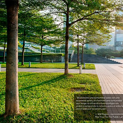 Manual Rain Bird TM2